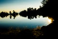 Sunset silhouette of trees and lake in natural enviornment, blue sky, reflections of landscape