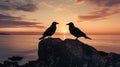 Sunset Silhouette: Two Ravens on Coastal Rock Royalty Free Stock Photo