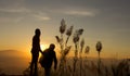 Sunset silhouette two Young look to Sunset