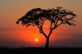 Sunset with silhouetted tree Royalty Free Stock Photo