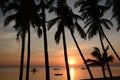 Sunset silhouettes. White beach, station three. Boracay Island. Western Visayas. Philippines Royalty Free Stock Photo