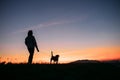 Sunset silhouettes woman and dog on the walk Royalty Free Stock Photo