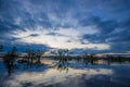 Sunset silhouetting a flooded jungle in Laguna Grande, in the Cuyabeno Wildlife Reserve, Amazon Basin, Ecuador Royalty Free Stock Photo