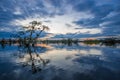 Sunset silhouetting a flooded jungle in Laguna Grande, in the Cuyabeno Wildlife Reserve, Amazon Basin, Ecuador Royalty Free Stock Photo