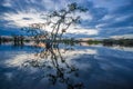 Sunset silhouetting a flooded jungle in Laguna Grande, in the Cuyabeno Wildlife Reserve, Amazon Basin, Ecuador Royalty Free Stock Photo