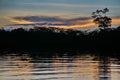 Sunset over the flooded jungle Royalty Free Stock Photo