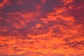 Orange sunset in the sky. The sky is on fire. Beautiful clouds. Royalty Free Stock Photo