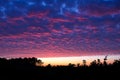 Sunset sky with altocumulus clouds