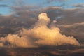 Sunset sky. Big white fluffy storm cumulus cloud in yellow orange sunlight on blue sky background texture Royalty Free Stock Photo