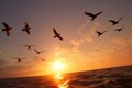 Sunset sky, birds migrate toward the sun, natures poetic spectacle