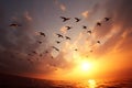 Sunset sky, birds migrate toward the sun, natures poetic spectacle