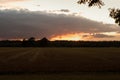 Sunset sky. Forest and field Glade. The branches of the trees at the picture. Green grass at the field. Glare Royalty Free Stock Photo