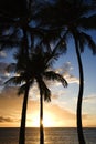 Sunset sky framed by palms. Royalty Free Stock Photo