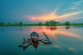 Sunset sky on Lake Tanjung Burung Indonesia Royalty Free Stock Photo