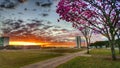 Sunset sky over the blooming trees and National Congress building Royalty Free Stock Photo