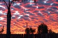 Sunset Sky Over Fenceline Royalty Free Stock Photo