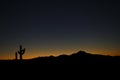 Sunset sky over mountain and cactus silhouette