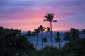 Sunset Sky over Ocean with Sun on Horizon and Palm Trees Silhouette in Foreground Royalty Free Stock Photo