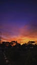 Sunset sky silhouette road forest night