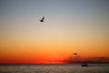 Sunset sky the sun has set, clouds illuminated by rays over the sea. A seagull and a fishing schooner. A romantic impression of Royalty Free Stock Photo