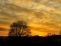 Sunset, sky, tree Royalty Free Stock Photo