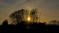 Sunset behind silhouette of trees in the flemis countryside