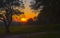 Sunset at a small grove of old oaks Kfar Glikson Israel Royalty Free Stock Photo