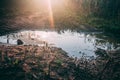 Sunset small puddle