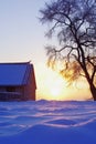 Sunset on snow field