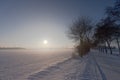 Sunset in snow and mist Royalty Free Stock Photo