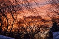 Sunset after a snowstorm glows red and orange over snow-covered trees and roofs.