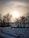 Sunset at a snowy field with a road and some trees in the european alps on a cold day in winter Royalty Free Stock Photo