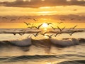 Sunset soiree: Seagull ballet above the ocean waves