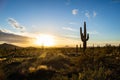 Sunset in the Sonoran Desert of Arizona with mountains and saguaro cacti Royalty Free Stock Photo