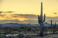 Sunset in the Sonoran Desert of Arizona with mountains and saguaro cacti Royalty Free Stock Photo