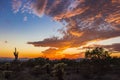 Sunset in the Sonoran desert Royalty Free Stock Photo