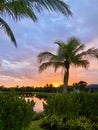 Sunset Southwest Florida