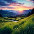 Sunset Splendor: Vibrant Green Grass Bathed in the Twilight Glow
