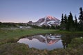 Sunset at Spray Park in Mt Rainier National Park Royalty Free Stock Photo