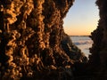 Sunset in Spring at Coney Island Beach in New York, NY. Royalty Free Stock Photo