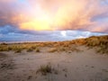 Sunset during springtime scenery beach