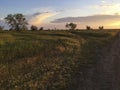 Sunset in the steppe, the road in the middle of the steppe, trees on the horizon