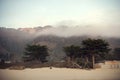 Sunset at Stinson Beach In California Overlooking Muir Forest. Royalty Free Stock Photo