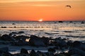 Sunset, stone beach with small and large rocks in front of the illuminated sea Royalty Free Stock Photo