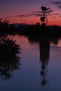 Sunset storks & the river