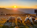 The sunset on the Straja Mountain, Valcan Mountains, Romania