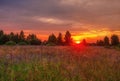 Sunset in summer field