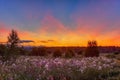 Sunset in summer field. Nature background