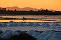 Sunset saline marsala summer Sicily