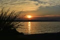 Sunset Sun Clouds Beach Grass Dune picture